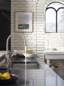 silestone-trendspotter-cheryl-kees-clendenons-greenhouse-kitchen_16