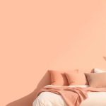 Pantone Colour of the year 2024