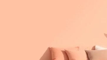 Pantone Colour of the year 2024